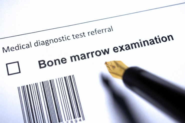 bone marrow